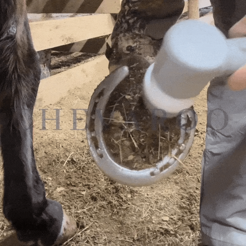 Haulsole™ Electric Hooves Cleaner